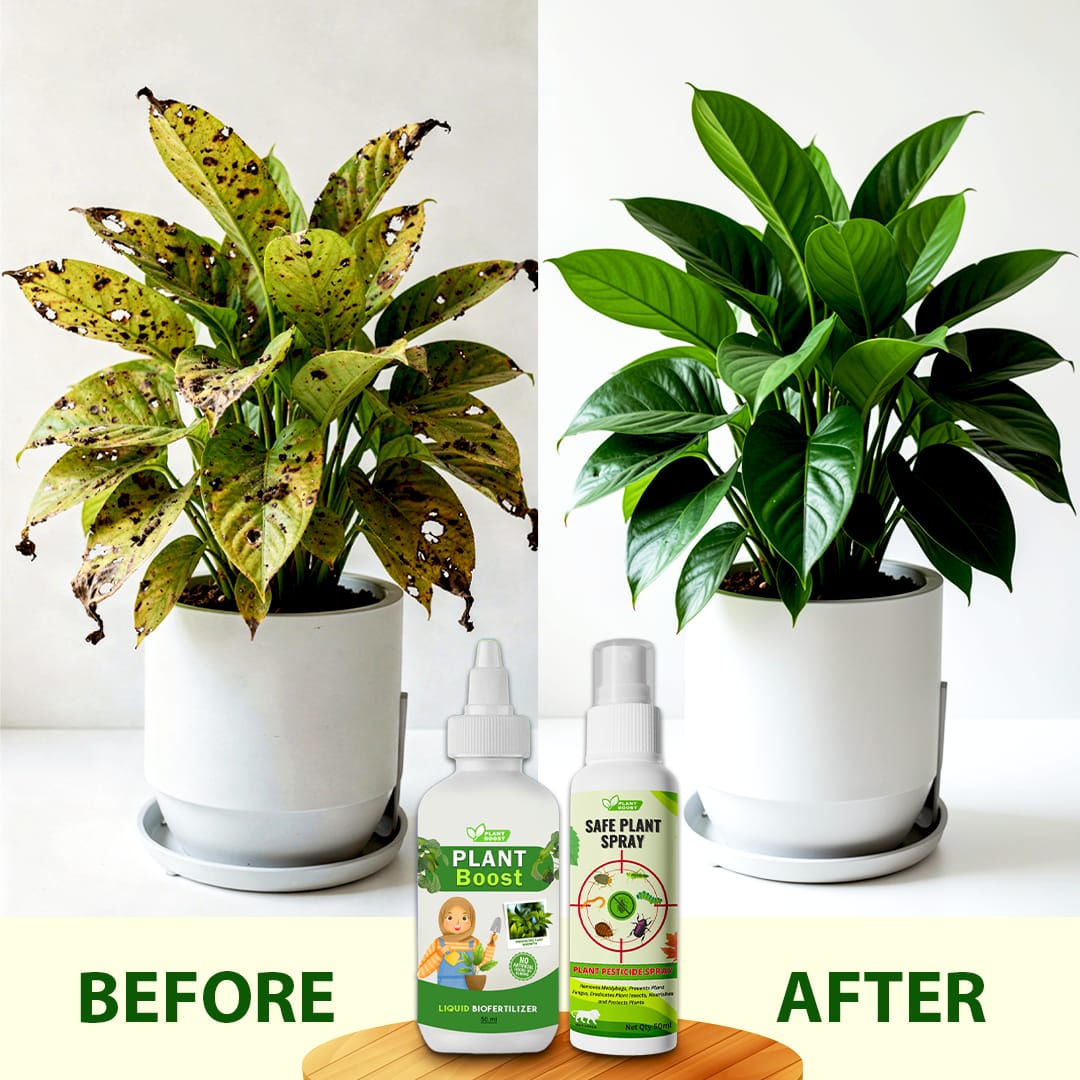🌿 Plant Boost & Protect Kit